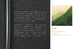 Namiki AYA Tokiwa Evergreen Vulpen -Winkel Voor Kantoorartikelen Namiki Aya Evergreen 3